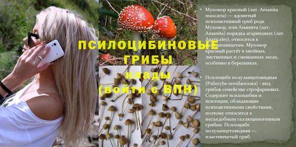 соль ск Абаза