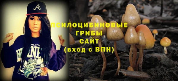 соль ск Абаза