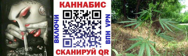 купить  цена  Орск  Бошки Шишки сатива 